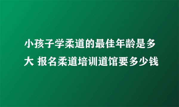 小孩子学柔道的最佳年龄是多大 报名柔道培训道馆要多少钱