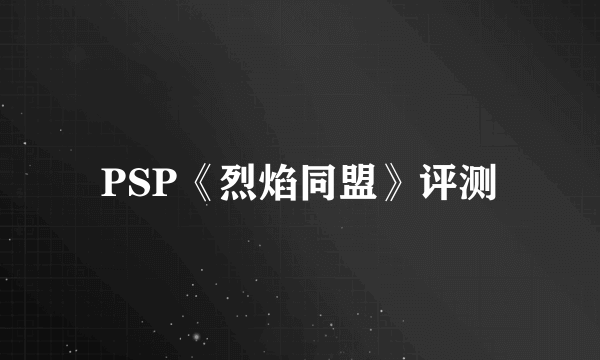 PSP《烈焰同盟》评测