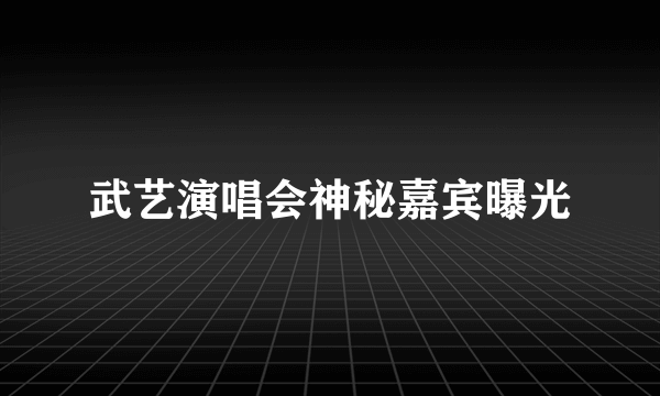 武艺演唱会神秘嘉宾曝光