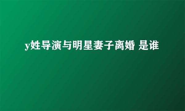 y姓导演与明星妻子离婚 是谁