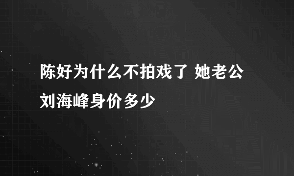 陈好为什么不拍戏了 她老公刘海峰身价多少