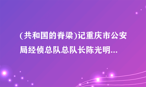 (共和国的脊梁)记重庆市公安局经侦总队总队长陈光明_飞外网