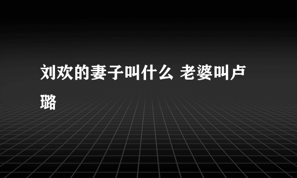 刘欢的妻子叫什么 老婆叫卢璐