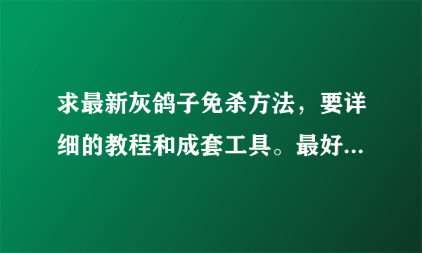 求最新灰鸽子免杀方法，要详细的教程和成套工具。最好是有能过360的壳。