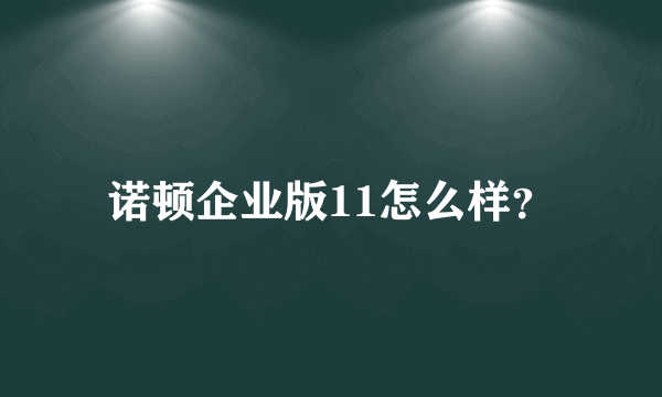 诺顿企业版11怎么样？