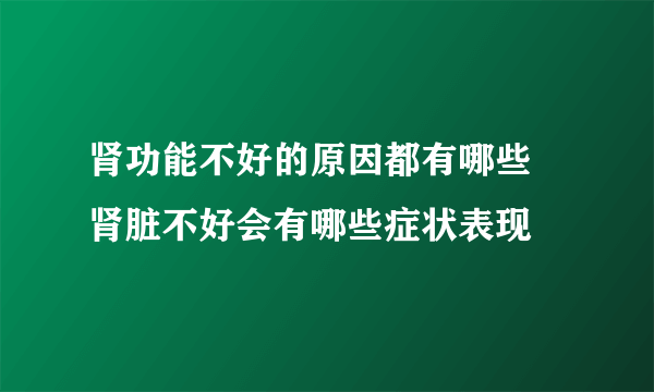 肾功能不好的原因都有哪些 肾脏不好会有哪些症状表现