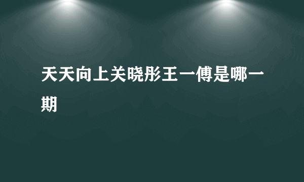 天天向上关晓彤王一傅是哪一期