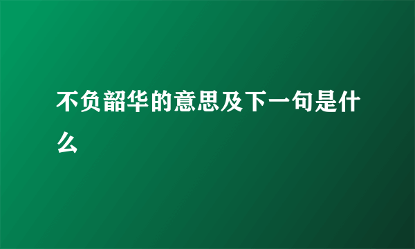 不负韶华的意思及下一句是什么