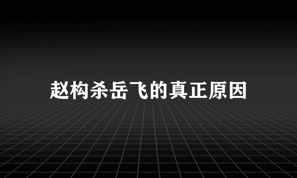 赵构杀岳飞的真正原因