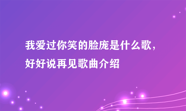 我爱过你笑的脸庞是什么歌，好好说再见歌曲介绍