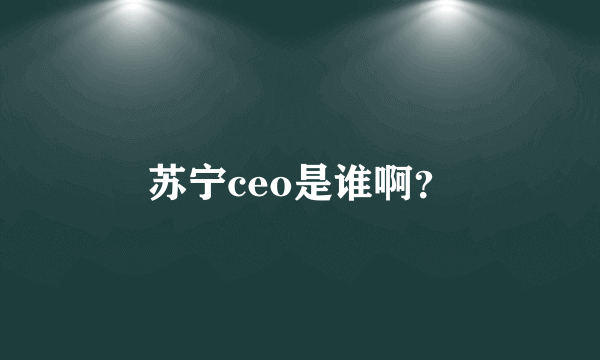 苏宁ceo是谁啊？