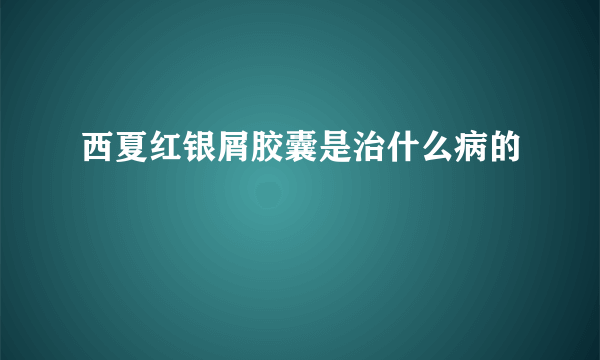 西夏红银屑胶囊是治什么病的