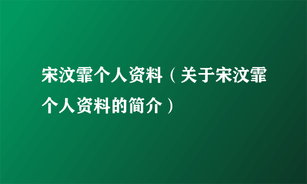 宋汶霏个人资料（关于宋汶霏个人资料的简介）