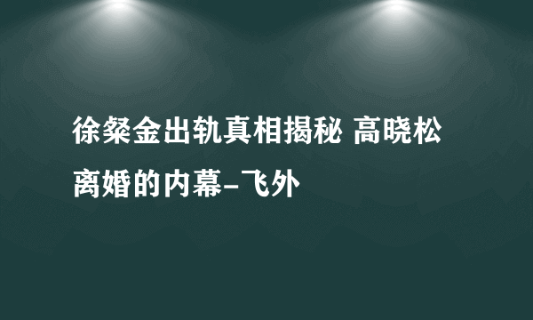 徐粲金出轨真相揭秘 高晓松离婚的内幕-飞外