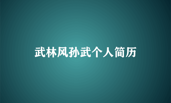 武林风孙武个人简历