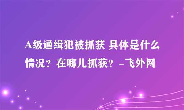 A级通缉犯被抓获 具体是什么情况？在哪儿抓获？-飞外网