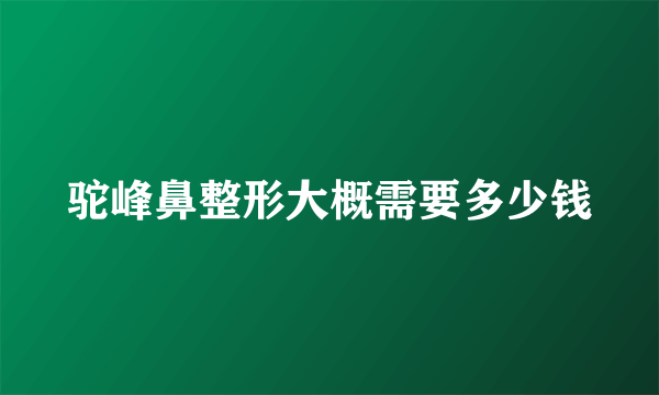 驼峰鼻整形大概需要多少钱