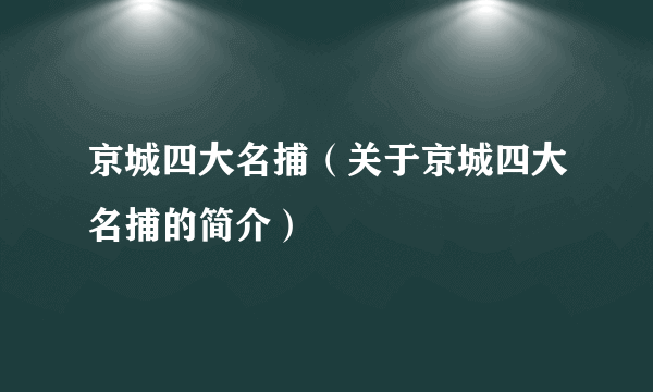 京城四大名捕（关于京城四大名捕的简介）