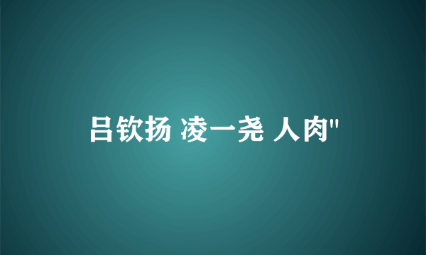 吕钦扬 凌一尧 人肉