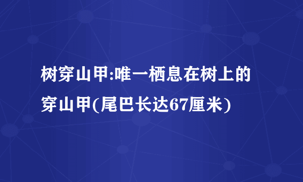 树穿山甲:唯一栖息在树上的穿山甲(尾巴长达67厘米)