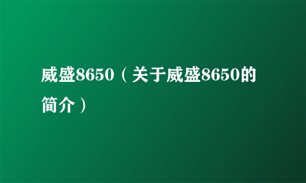 威盛8650（关于威盛8650的简介）