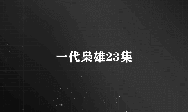 一代枭雄23集