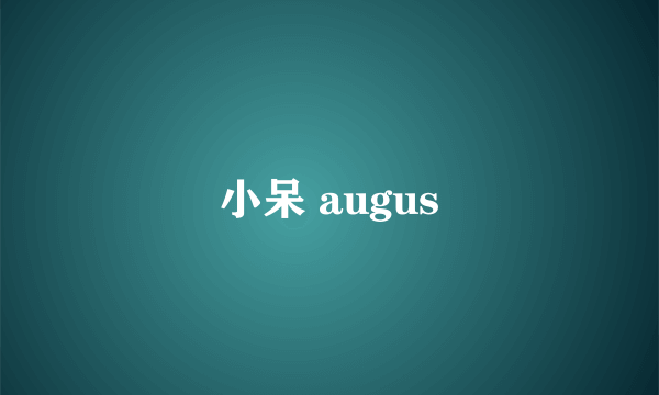 小呆 augus