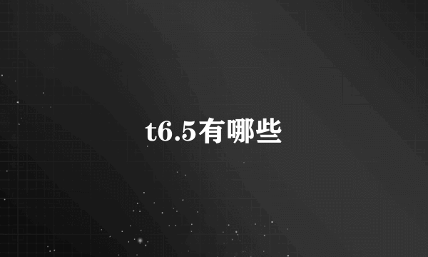 t6.5有哪些