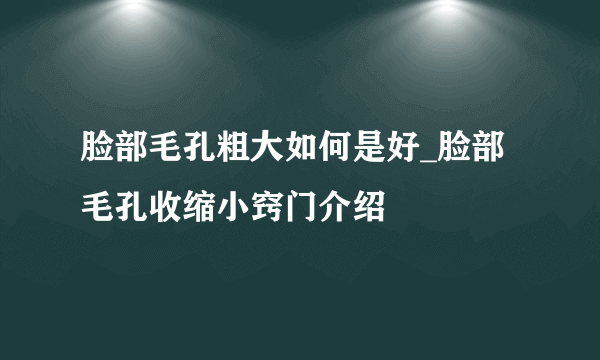 脸部毛孔粗大如何是好_脸部毛孔收缩小窍门介绍