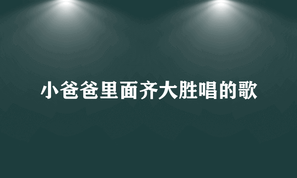 小爸爸里面齐大胜唱的歌