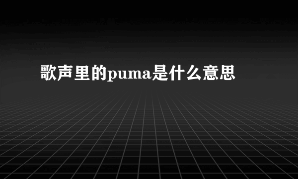 歌声里的puma是什么意思