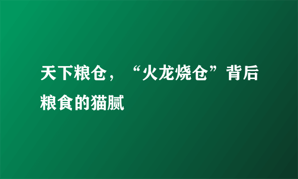 天下粮仓，“火龙烧仓”背后粮食的猫腻