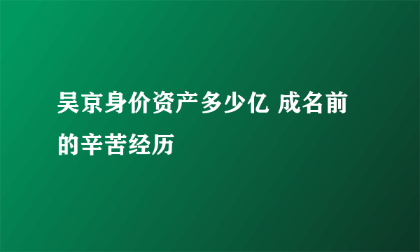 吴京身价资产多少亿 成名前的辛苦经历