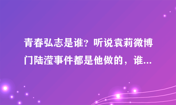 青春弘志是谁？听说袁莉微博门陆滢事件都是他做的，谁能告诉我这是不是真的啊？