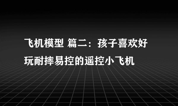 飞机模型 篇二：孩子喜欢好玩耐摔易控的遥控小飞机