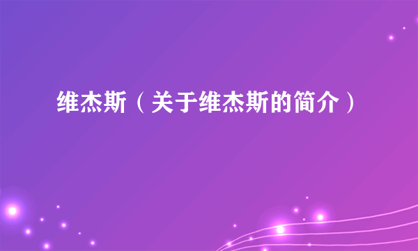 维杰斯（关于维杰斯的简介）