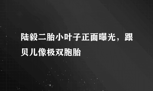 陆毅二胎小叶子正面曝光，跟贝儿像极双胞胎