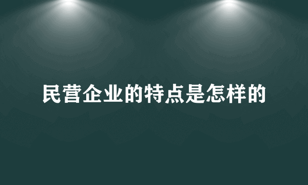 民营企业的特点是怎样的