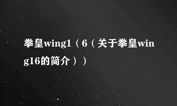 拳皇wing1（6（关于拳皇wing16的简介））