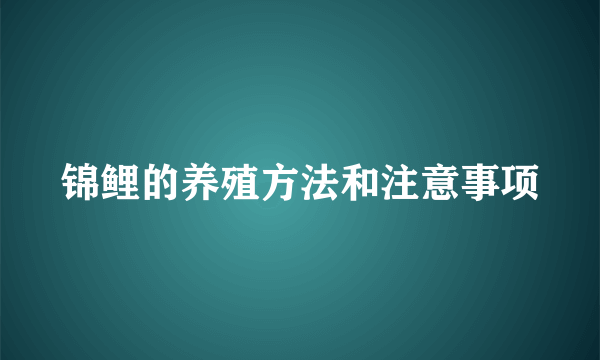 锦鲤的养殖方法和注意事项