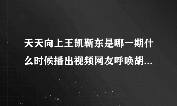 天天向上王凯靳东是哪一期什么时候播出视频网友呼唤胡歌_飞外网