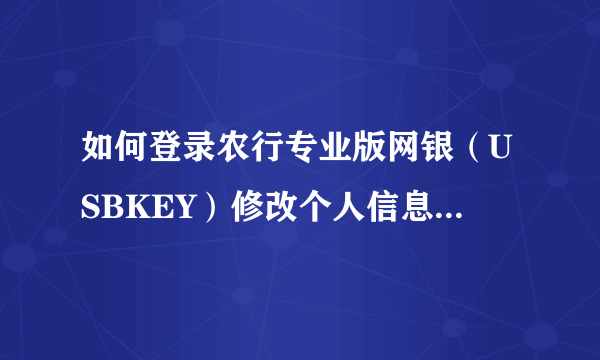 如何登录农行专业版网银（USBKEY）修改个人信息，手机号修改