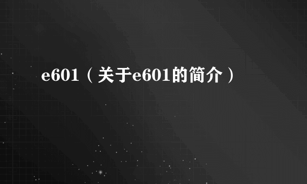 e601（关于e601的简介）