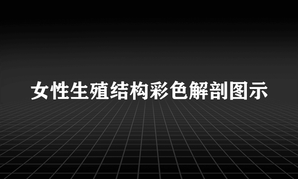 女性生殖结构彩色解剖图示