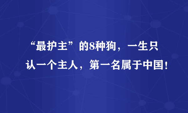 “最护主”的8种狗，一生只认一个主人，第一名属于中国！