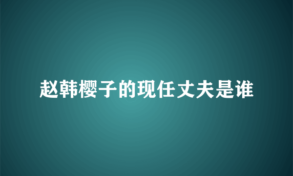 赵韩樱子的现任丈夫是谁