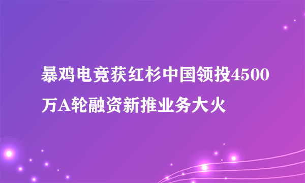 暴鸡电竞获红杉中国领投4500万A轮融资新推业务大火