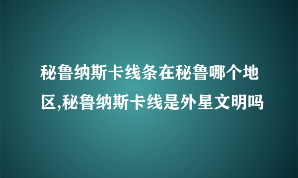 秘鲁纳斯卡线条在秘鲁哪个地区,秘鲁纳斯卡线是外星文明吗