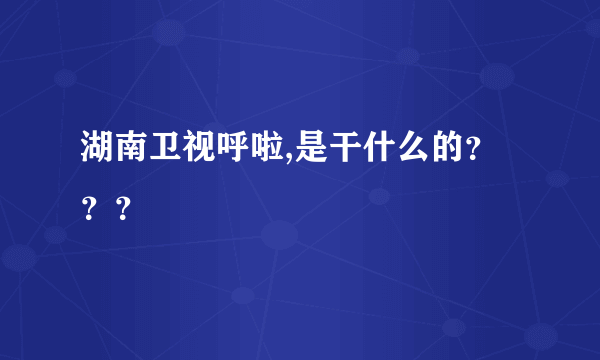 湖南卫视呼啦,是干什么的？？？