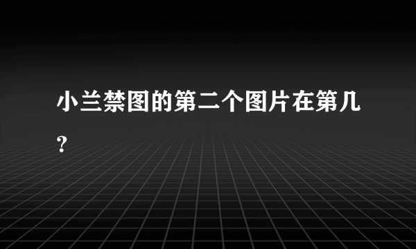 小兰禁图的第二个图片在第几？